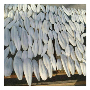 Hueso de sepia fresco Vietnam 100%, hueso de sepia elegante para masticar mascotas, hueso de sepia ecológico para arte, secado al sol - Product Image 2