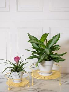 Support de jardinière en métal multicolore pour la décoration de la maison et du jardin au meilleur prix d'Inde - Product Image 6