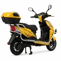 Dealer Supply TIKING 1000W Electric Motorcycle with 45km/h Top Speed for Street Commuting