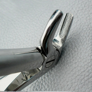 Fórceps Dentales Manuales de Acero Inoxidable de Primera Calidad para Extracción de Dientes, Raíces Inferiores, Precio Bajo, ZARNAB SURGICAL CE - Product Image 6