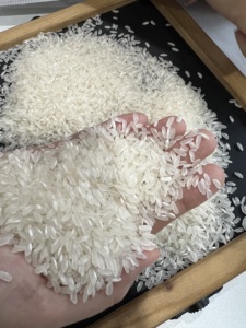 Venta al por mayor CHEF CHOICE CALROSE, SUSHI RICE JAPONICA REDONDO RIZ ARROZ BARATO para PLATOS JAPONESES RIZ 5KG 25KG 50KG - Product Image 3