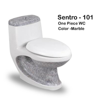Inodoro de Cerámica Moderno Sentro-101, Inodoro de Cerámica de Una Pieza con Descarga por Gravedad, Asiento de Inodoro Occidental, Artículos Sanitarios Modernos para Baño
