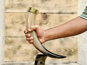 Ensemble de support pour cornes à boire Viking avec 6 cornes polies chaque Viking pour klaxon à boire - Product Image 6