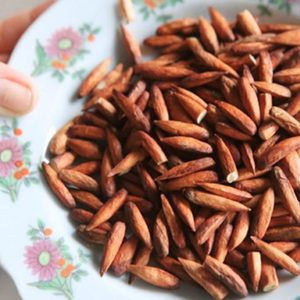 Granja agrícola de TERMINACATAPPA SEEDLIA, Productos de Salud de Vietnam - Product Image 2