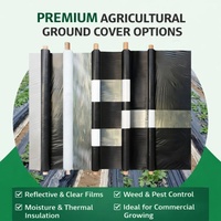 Film de paillage agricole blanc et noir perforé, résistant aux UV, 100 % PE vierge, pour la croissance des cultures et la rétention de l'humidité, usage agricole