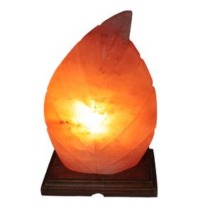 Lámpara de sal especial con forma de hoja rosa del Himalaya con envoltura retráctil con embalaje de caja y logotipo personalizado-Sian Enterprises - Product Image 6