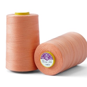 HL AGON 40S/2 FILS DE POLYESTER TOURNÉS POUR AGON Prix de gros Échantillon gratuit Fils à coudre résistants aux produits chimiques à haute ténacité - Product Image 3