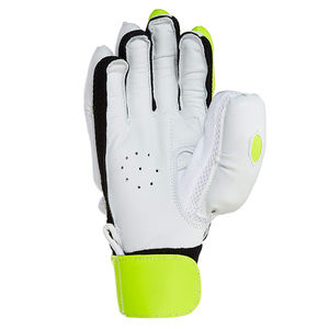 Meilleures ventes, vêtements de sport, gants d'entraînement au cricket, vente en gros, conception sur mesure, gants de frappe de cricket pour unisexe - Product Image 3