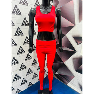 Ensemble de vêtements de sport pour femmes, vêtements de yoga, vêtements de sport pour la salle de sport, leggings de sport, soutien-gorge de sport, vente au prix d'usine, nouveau design - Product Image 1