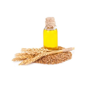 Food Grade Natural Wheat Germ <b>Oil</b> for Skin Care Wheat Germ <b>Oil</b> Price <b>Carrier</b> <b>Oil</b> Supplier - Product Image 1