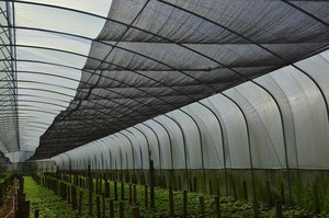 Agricultural Garden <b>Shading</b> Net Roll Agricultural UV Resistant <b>Greenhouse</b> Shade Cloth - Product Image 2