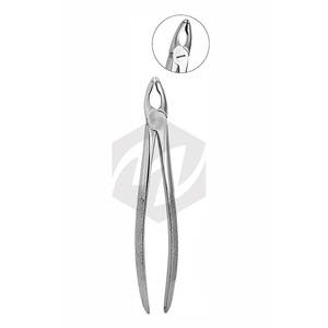 Forceps dentaires de qualité supérieure, manche fantaisie, acier inoxydable allemand, forceps d'extraction dentaire / pinces dentaires - Product Image 5