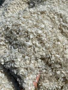 เกล็ดปลาแห้งจากปลานิล/ปลาช่อนจากเวียดนาม - Product Image 2