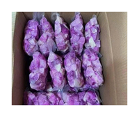 Delicious Cheap Price Frozen Jam From Vietnam For Export - Rich Fruit Flavor Frozen Jam For Bulk Buyers And Importers