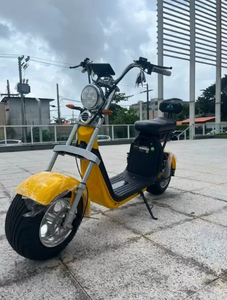 Vélo électrique 1000W X11 Wehawk prêt à être expédié, autonomie jusqu'à 45 km, en promotion - Product Image 6