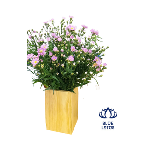 Jardinière de fleurs carrées en bois pour jardin, Pot de plantes ornementales - Product Image 1