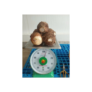 เผือกแช่แข็งด้วยเนื้อสีขาวธรรมชาติแช่แข็งอย่างรวดเร็วสำหรับความหวานตามธรรมชาติรักษาสารอาหารได้ถึงมาตรฐานส่งออก - Product Image 3