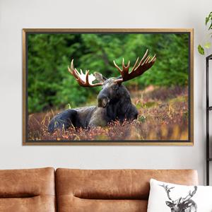 Rustic Moose Canvas Wall Art: Lodge Decor Printed Canvas,GOLD <b>FRAMED</b> CANVAS - Product Image 1