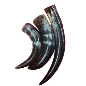Vente chaude de qualité naturelle 100% corne de buffle en vrac et corne de boeuf au meilleur prix fournisseur de verre d'eau potable en corne de l'Inde - Product Image 3