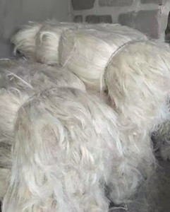 High Quality SSUG Natural Sisal <b>Fiber</b> / UG Sisal <b>Fiber</b> - Product Image 6