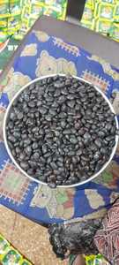 Empaquetado a granel de alta calidad, semillas Tamarindus Indica, las mejores semillas naturales crudas para productos herbales, precio al por mayor, agricultura - Product Image 3