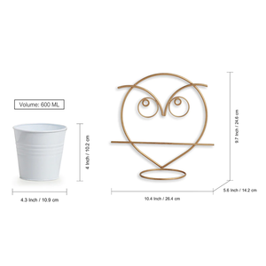 Ensemble de pots de fleurs muraux en fer galvanisé de 10 pouces, design rond avec finition laiton pour la décoration de la maison et du jardin, support de pot de fleurs - Product Image 4