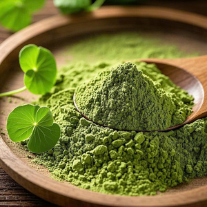 ผงใบบัวบกจากเวียดนามที่เชื่อถือได้ - Product Image 4