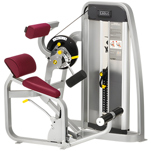 Máquina de Extensión Lumbar Eagle Remanufacturada para Entrenamiento de Fuerza en la Espalda Baja, con Carga de Placas, para Gimnasios y Salas de Entrenamiento - Product Image 3