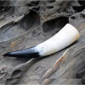 เขาควายแกะสลักด้วยมือแบบโมเดิร์น เป็นมิตรกับสิ่งแวดล้อม สำหรับดื่มเบียร์สไตล์ไวกิ้ง โดย Saniya Handicraft - Product Image 6