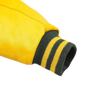 Chaqueta de Cuero de Invierno para Hombre, Estilo Informal, Personalizada, de Lona y Felpa, con Cuello Alto, Fabricada en Pakistán - Product Image 5