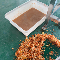 Industriële citruspers van roestvrij staal, slowjuicer, koude persing, voor citroenen en sinaasappels.