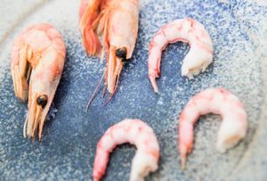 Camarones Frescos Congelados de Agua Fría, Mariscos Premium Enteros para Distribución Mayorista e Industria de Servicios Alimentarios - Product Image 2