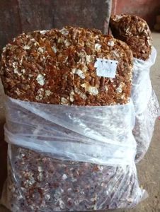 มะขามแห้งไร้เมล็ดส่งออกจำนวนมาก - Product Image 2