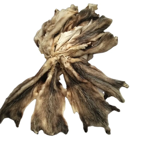 Aumente sus Ventas de Cuero con Cuero/Piel de Kenia de Primera Calidad, Fuente Directa de Pieles de Kenia de Alta Calidad 2025 para Exportación Global - Product Image 4