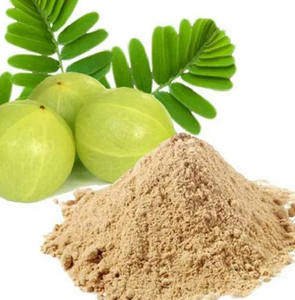 Extracto de Grosella Silvestre Orgánica 100% de Alta Calidad, Suplemento Vegetal Más Vendido, Envasado al Vacío para Venta al por Mayor - Product Image 1