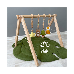 MEILLEURE VENTE BLEU LOTUS EN BOIS BÉBÉ GYM VIETNAM JOUETS ÉCOLOGIQUES - Product Image 1