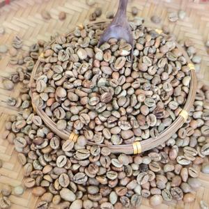 Granos enteros de alta pureza OEM/ODM Vietnam Robusta Granos de café verde Grado 1 Suministro de fábrica Origen vietnamita - Product Image 3