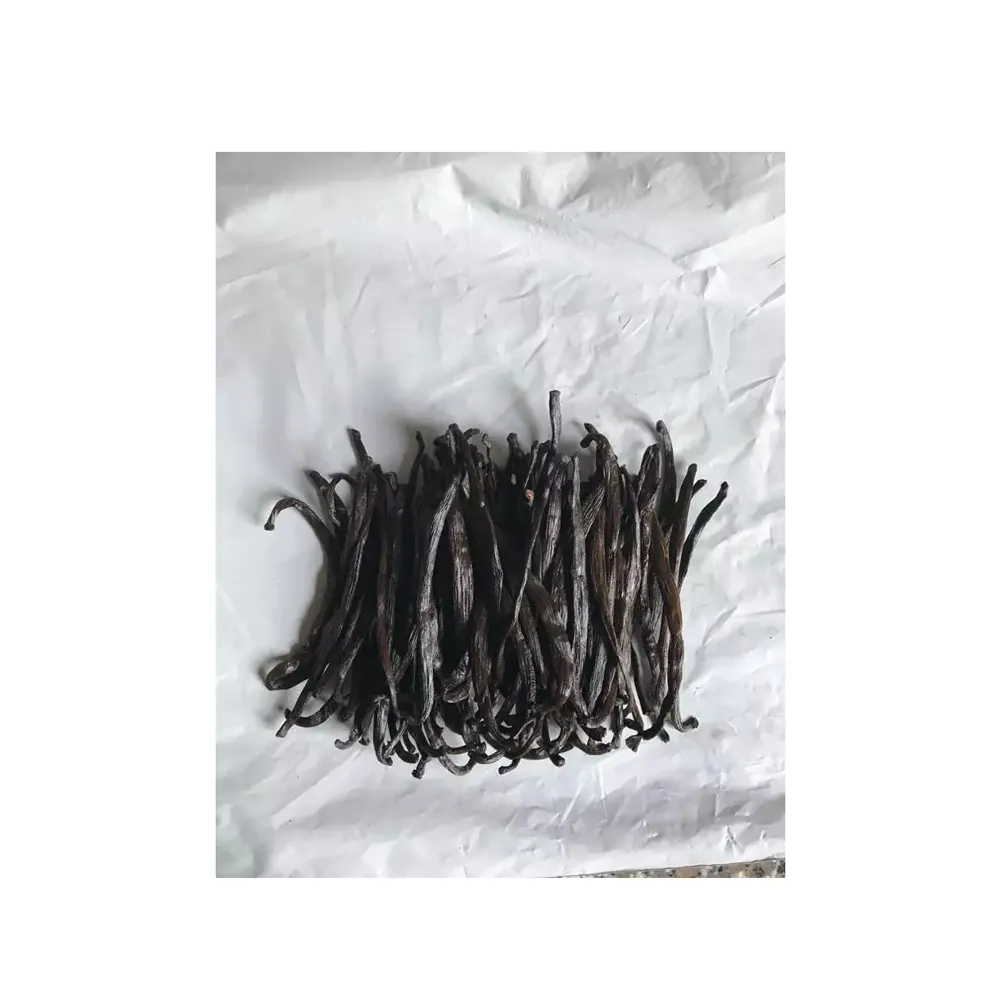 wholesale best Price black Vanilla Beans / Madagascar Vanilla