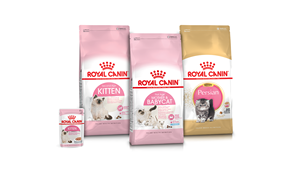 Alimento Seco para Perros Royal Canin al por Mayor para Todas las Etapas de Vida, para los Mercados de Europa, China y Australia - Product Image 3