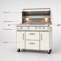 Barbecue à gaz en acier inoxydable pour extérieur, cuisinière à 5 brûleurs avec étagères latérales et armoire