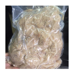 Musgo de mar seco Eucheuma Cottonii Algas marinas Musgo irlandés Versión limpia Musgo de Mar Salado rico en yodo para el equilibrio de la tiroides - Product Image 2