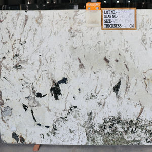 Superficie pulida de losa de granito blanco alpino de diseño moderno - Product Image 1