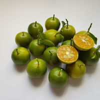 Calamansi Segar Premium Dari Vietnam - Buah Jeruk untuk Memasak & Jus