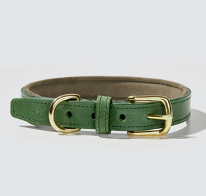 Green Leather Dog <b>Collar</b> High Quality Green Leather Hound Dog <b>Collar</b> for Greyhound and WhippetHandmade - Product Image 1