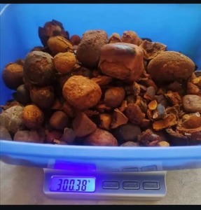 High Quality Pure <strong>Ox</strong> and Cattle Gallstones Animal Extracts for Sale - Product Image 3