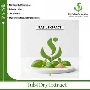 Extrait sec de Tulsi à base de plantes, ingrédient pour des applications industrielles et commerciales cohérentes - Product Image 2