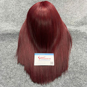 Peluca con cierre de encaje para extensiones de pelo vietnamita, superventa, precio al por mayor, sin desprendimiento de muchos colores - Product Image 1