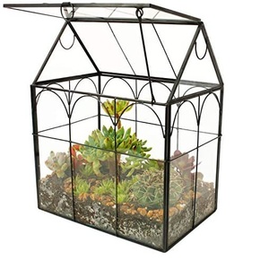 Terrarium en verre d'excellente qualité pour le salon ou la salle à manger Article de décoration Terrarium en verre Accessoires à utiliser Article - Product Image 6