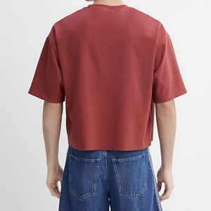 T-shirt court unisexe d'été à séchage rapide, léger, 100 % coton, coupe ajustée, respirant, écologique, anti-boulochage, anti-plis, haute qualité - Product Image 5