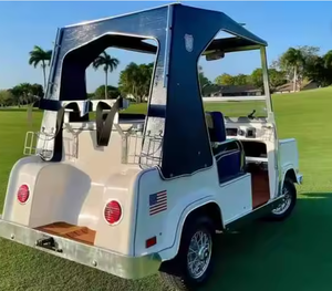 LISTO PARA ENVIAR Carro de Golf Usado 2024 E-l-m-m-c-0 Royal Ride con Asientos de Cuero, Volante a la Izquierda y Cámara Trasera - Product Image 3